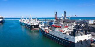 KLUMME: Fiskeriet bliver grønt