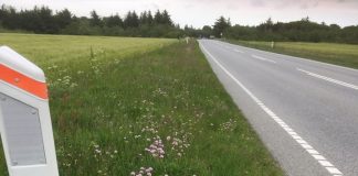 Flere blomster i rabatterne hos Hjørring Kommune
