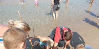 Lærerigt fiskeri ved Tornby Strand