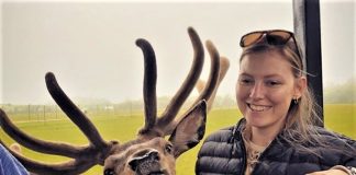 Sidste vildtaften og en dag med masser af aktivitet i Fun-Park