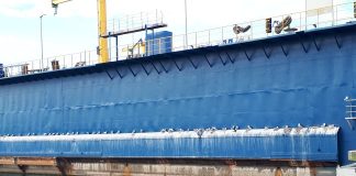 Risikovillig ridekoloni