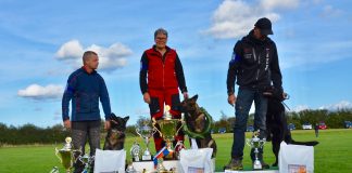 Dansk Mester hos DcH og udtagelse til næste DM