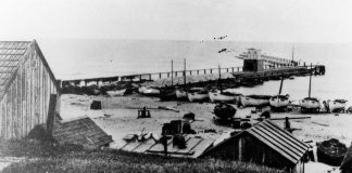 Molen kom før Havnen