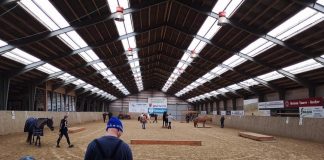 Træn agility for heste med Kate Sand i Hirtshals Rideklub