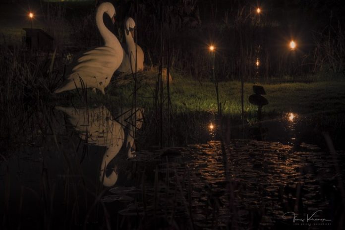 ArtVisten_28_739x493
