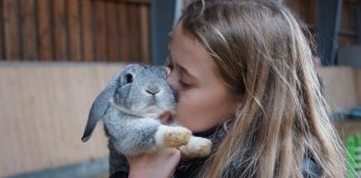 Dyr og kunst i Bindslev