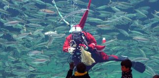 Fuld juleskrue i Hirtshals