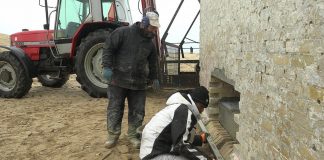 Murermesteren får nu hjælp af lærlinge ved Rubjerg Knude Fyr