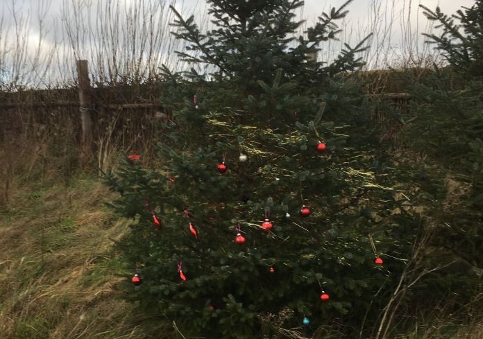 Juletræ_2