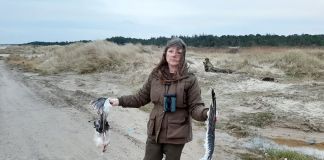 Conny Jensen har fundet første offer for møllerne i Hirtshals