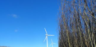 Vigtig diskussion om biomasse