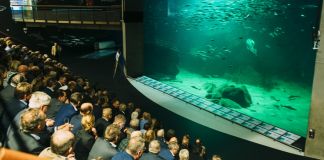 Positiv respons på Erhverv Hjørrings Nytårskur 2020 på Nordsøen Oceanarium