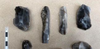 Meget peger på fund af en enkeltgravskultur ved Rubjerg