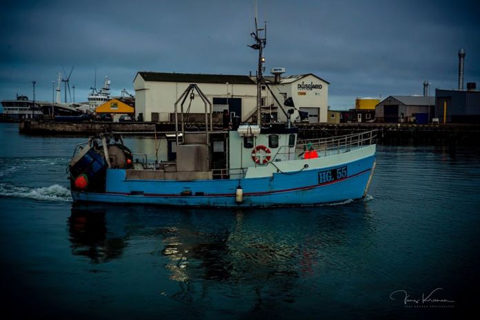 Hirtshals_13