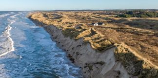 Dronefotograf foreslår flere forsøg med biologisk kystsikring