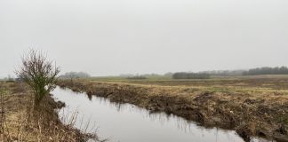 Morten Glenthøj: En dråbe forurening er en dråbe for meget, men…