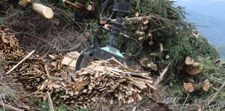 Støttepartier vil have stop for biomasse