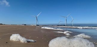 Mandag med sol og kølig blæst