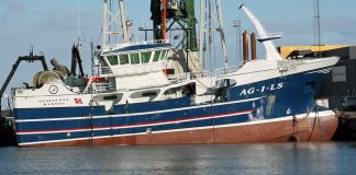 Nesejenta på ret køl