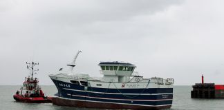 Farvel til Nesejenta