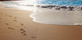 Poul Jansen: Vind og fodspor