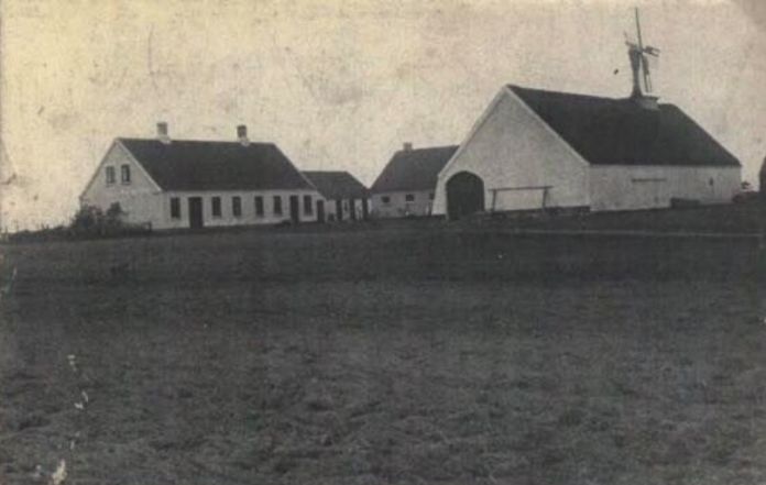 Nygård_2