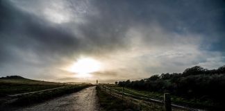 Poul Jansen: Tak for dagen