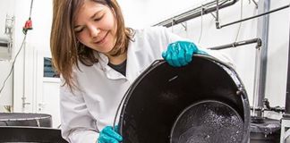 Banebrydende åleforskning hos DTU Aqua ved Nordsøen Forskerpark