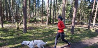 Landets første hundeløbeklubber ser dagens lys