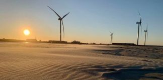 Poul Jansen: Blandt blæstens sandkorn