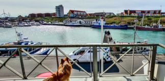 KUNST PÅ HAVNEN: Fra kontorfællesskab til kulturfællesskab…