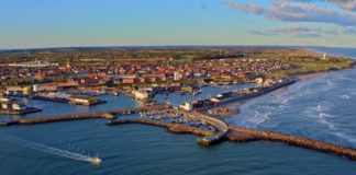 Junita D. Karlsen: Lad Hirtshals blive en svane