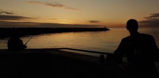 Havbars, hornfisk og havørreder ved Hirtshals