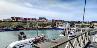 Galleriet på kajkanten søger udstillere til POP OP på Nordvestkajen i Hirtshals