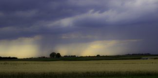 Højsæson for skybrud