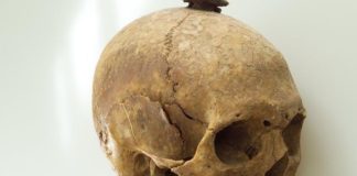 Henrettet i Hjørring