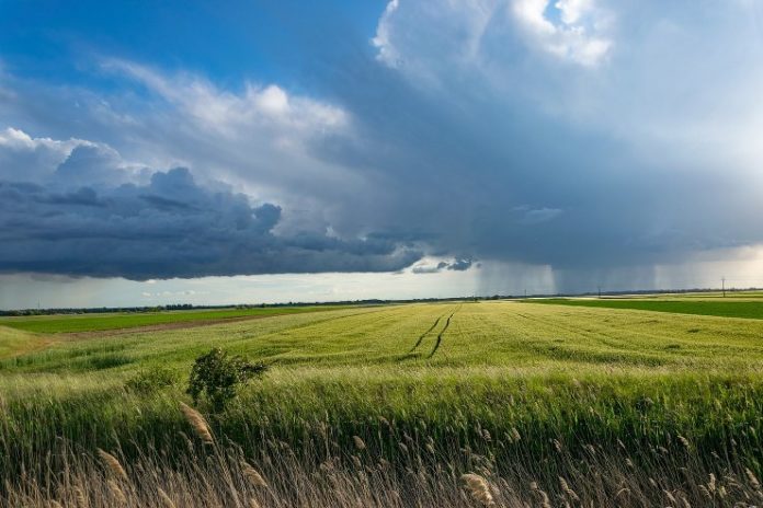 Landbrud_Pixabay_4_740x493_740x493