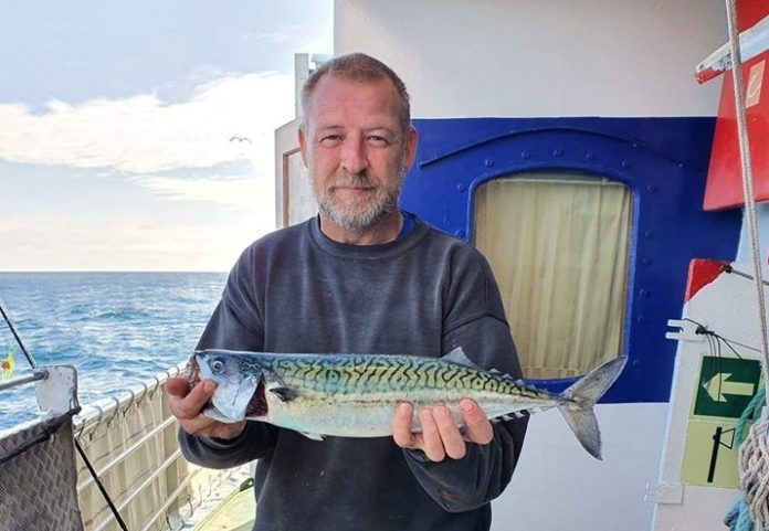 Makrel_Torben_Holm