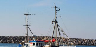 Aben endte hos fiskerne