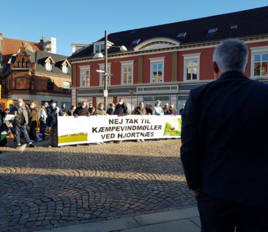Byrådet væltede Hjortnæs